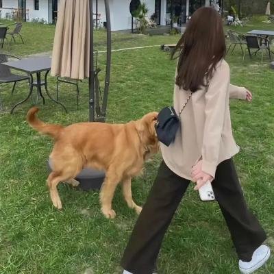 我没有谈的那场恋爱